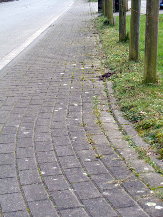 Vor der Bearbeitung mit der Wildkrautbuerste