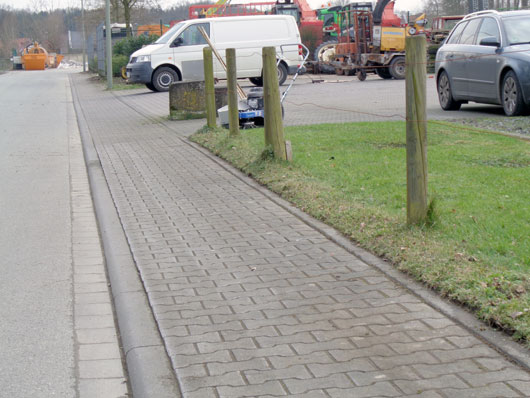 Wildkraurtbuerste gereinigter Weg