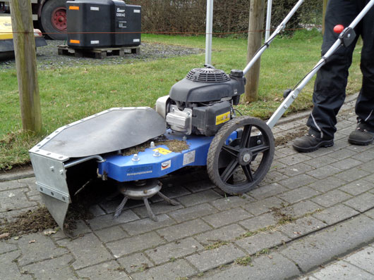 Wildkrautbuerste Bild1